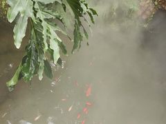 -南通洲际绿博园