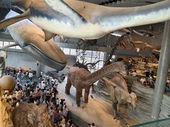 -Behring World of Animals(上海自然博物馆店)
