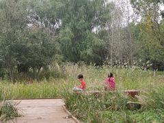 -东郊湿地公园