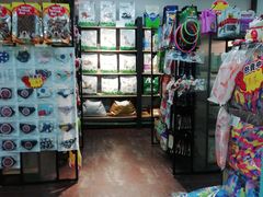 -派多格宠物·购宠(靛厂路店)