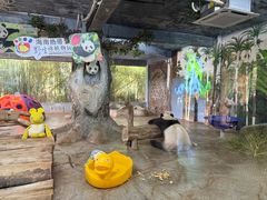 -海南热带野生动植物园