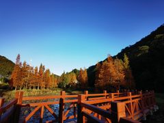 -广州市石门国家森林公园