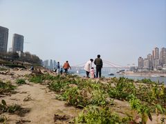 -重庆市江北嘴中央商务区中央公园