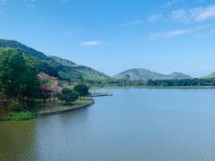 -风云岭森林公园