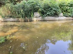 -北京西山国家森林公园