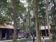 -都江堰普照寺
