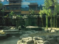 -北京动物园