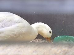 -狗道宠物(常熟印象城店)
