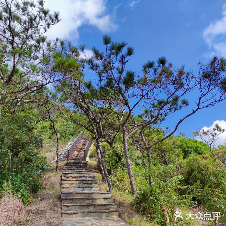 珠海小众登山步道939969♂15‖小横琴山7215