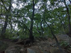 -鲁山国家森林公园