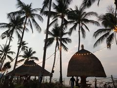 -Coco Tam’s