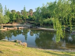 -宁波九龙湖开元度假村