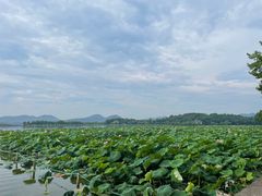 -北山街历史文化街区