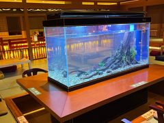 -大江户·温泉洗浴(浑南店)