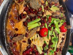 -老板恋上鱼(恒隆广场店)