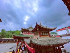 -塔尔寺菩提树