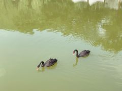 -静之湖度假区