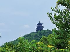 -杭州半山国家森林公园