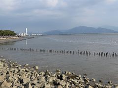 -深圳湾公园(南山区)