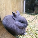 假日带娃新去处—宠物主题亲子体验馆
