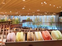 -北京望京凯悦酒店The Lounge大堂酒廊