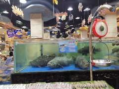 水产区-东江海鲜酒家(艺都分店)