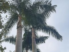 -广州市白云山风景名胜区