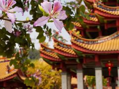 -天竺岩寺
