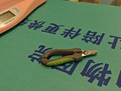 -美迦爱-动物医院·骨科·牙科·夜诊(朝阳路诊疗中心)