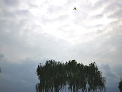 -漕湖湿地公园