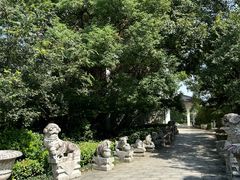 -白马涧龙池景区