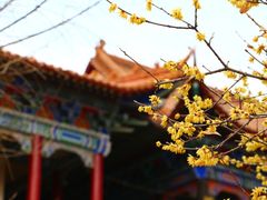 -章华寺