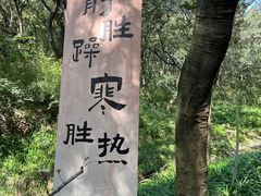 -句容茅山景区
