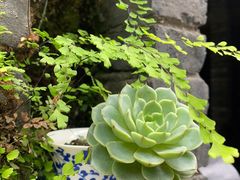 -鱼桥巷·美学川菜