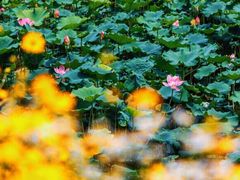 -石塘人家