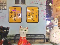 -猫咪博物馆(顶澳仔猫街店)