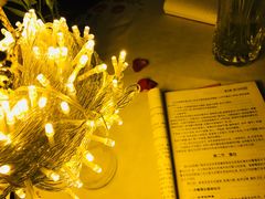 -花·fleur古董西餐厅(西城夜未央店)