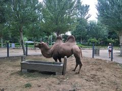 -长白岛森林公园