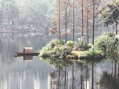 -重庆彩云湖湿地公园
