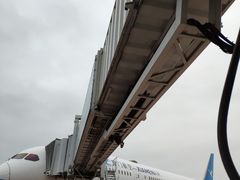 -厦门高崎国际机场-T3航站楼