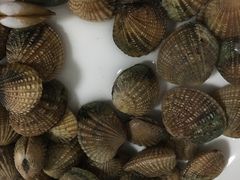 -坝光海滩