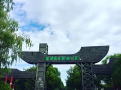 -溱湖国家湿地公园