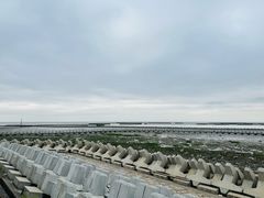 -南汇嘴观海公园
