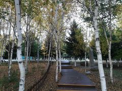 -长春世界雕塑园冰雪艺术天地