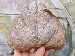 黑米麻薯红豆包-好利来(光华中心店)