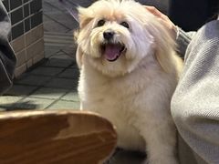 -酸辣粉(氹仔店)