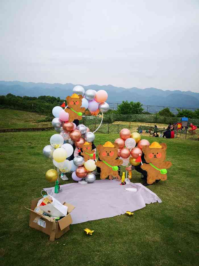 苓茏苑风景区-"距离主城一个小时的距离,也许礼拜六的原因.