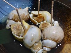 螺头-Kitcho Izakaya 吉兆居酒屋