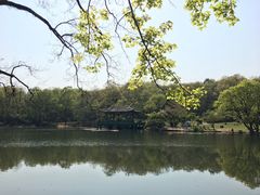 -灵谷景区