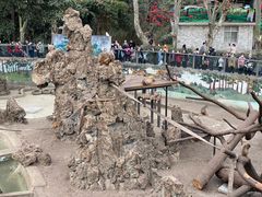 -成都动物园